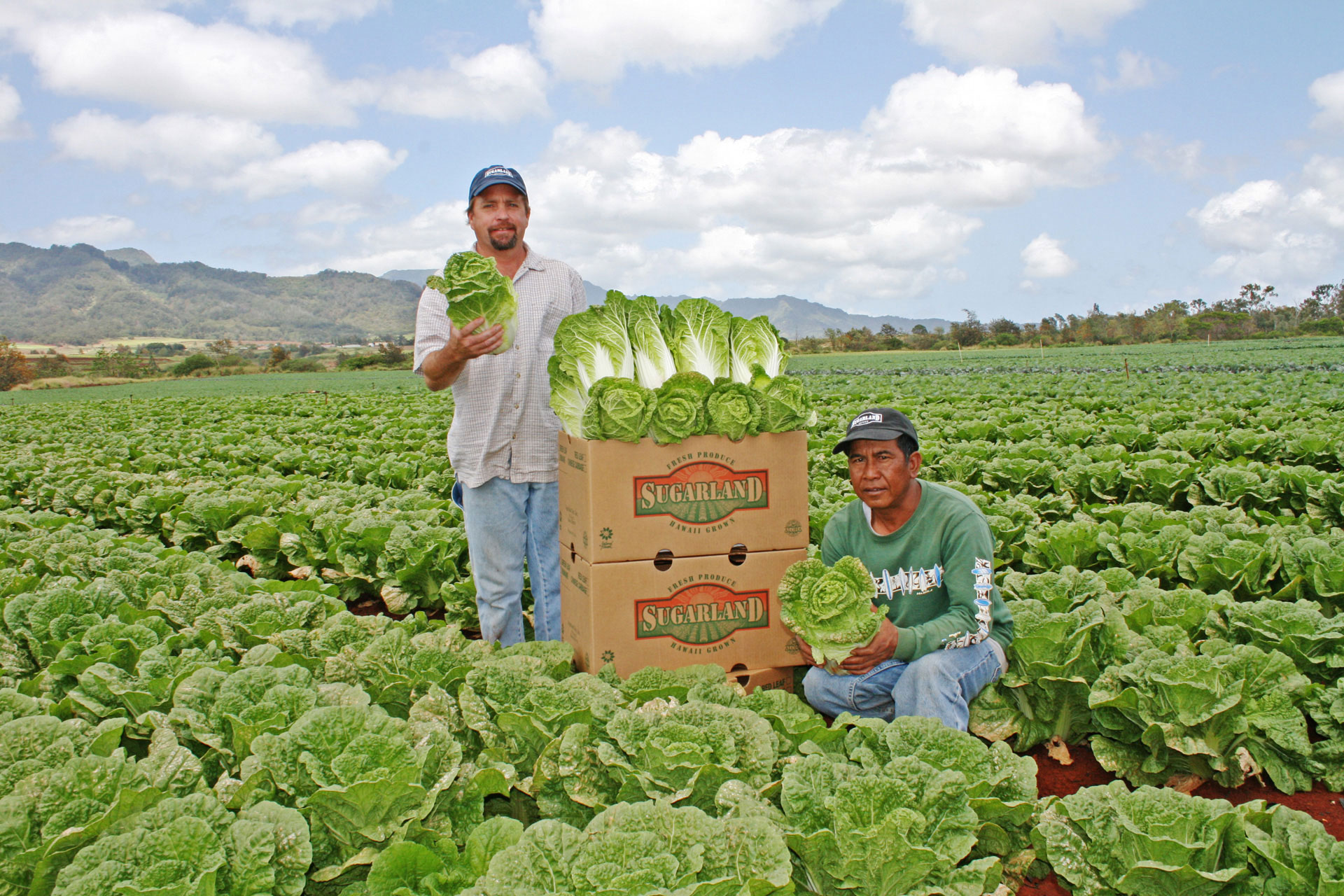 SugarLand-Farms.jpg